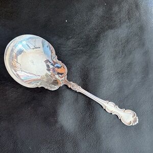 Elegant Silverplate Serving Spoon